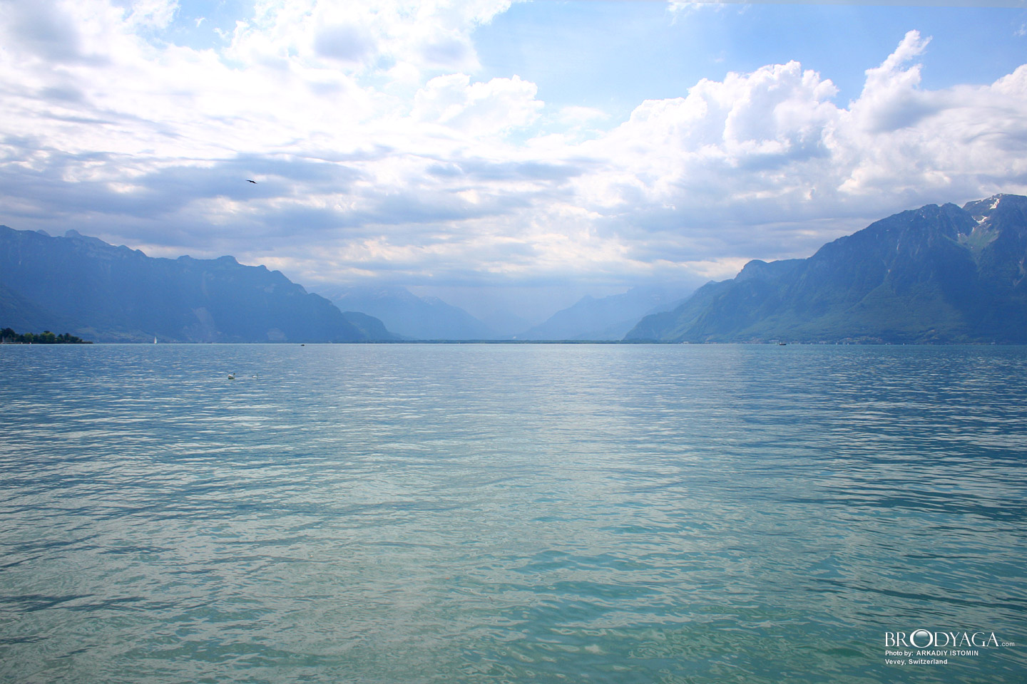Vevey
